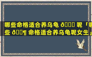 哪些命格适合养乌龟 🐋 呢「哪些 🐶 命格适合养乌龟呢女生」